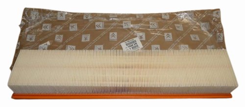 Filtro de aire 1444VK 1444.VK Peugeot 206/307 1.6I 16V Original Nuevo