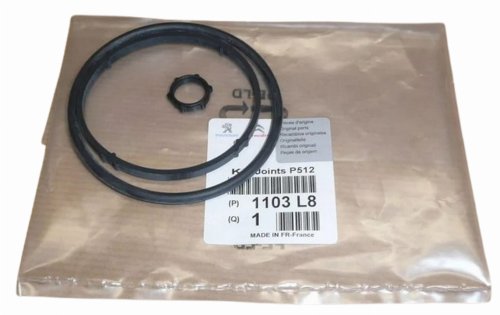 Juntas del filtro de aceite 1103L8 1103.L8 Citroën Peugeot Original Nuevo