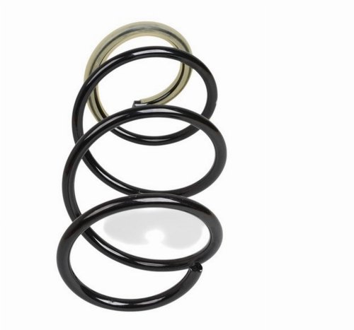 Muelle de suspensión 540105452R delantero Renault Fluence Original Nuevo