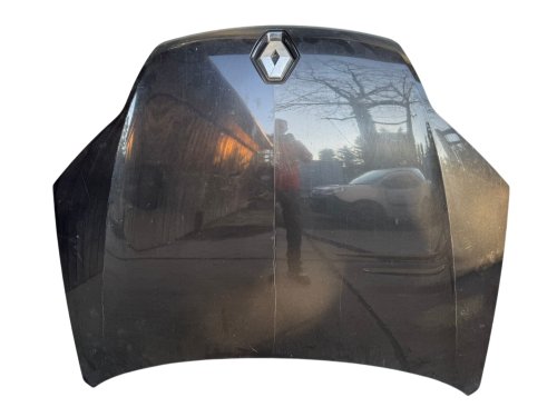 Capó Renault Laguna III  651000021R Pintura NV676 Usado Original