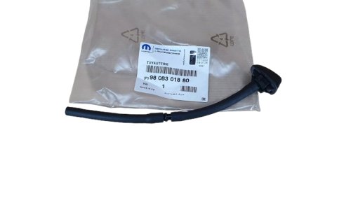 Boquilla del limpiaparabrisas delantero 9808301880 Citroën C3 III Original