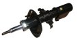 VCFGT-removebg-preview.jpg