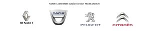 Turbocompresor 144107877R Renault Trafic III 2.0 dCi Nuevo Original