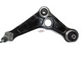 DSC00594-removebg-preview.jpg